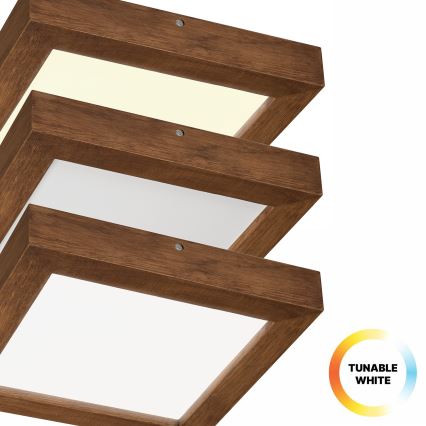 Brilagi - LED loftlampe til badeværelse dæmpbar WOODY FRAME LED/24W/230V eg kirsebær 30x30 cm 3000-6000K IP44 + fjernbetjening