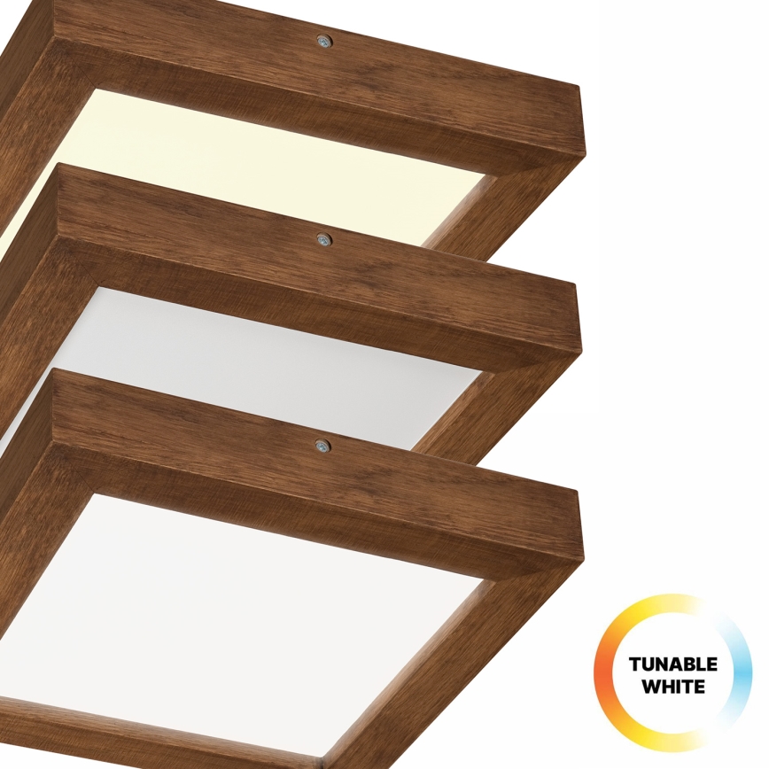 Brilagi - LED loftlampe til badeværelse dæmpbar WOODY FRAME LED/24W/230V eg kirsebær 30x30 cm 3000-6000K IP44 + fjernbetjening
