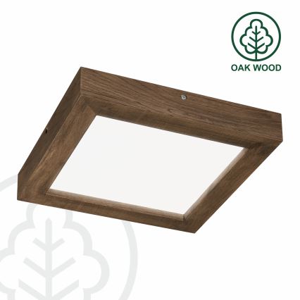 Brilagi - LED loftlampe til badeværelse dæmpbar WOODY FRAME LED/24W/230V eg 30x30 cm 3000-6000K IP44 + fjernbetjening