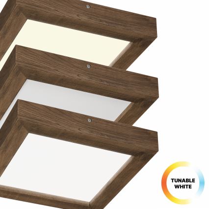 Brilagi - LED loftlampe til badeværelse dæmpbar WOODY FRAME LED/24W/230V eg 30x30 cm 3000-6000K IP44 + fjernbetjening