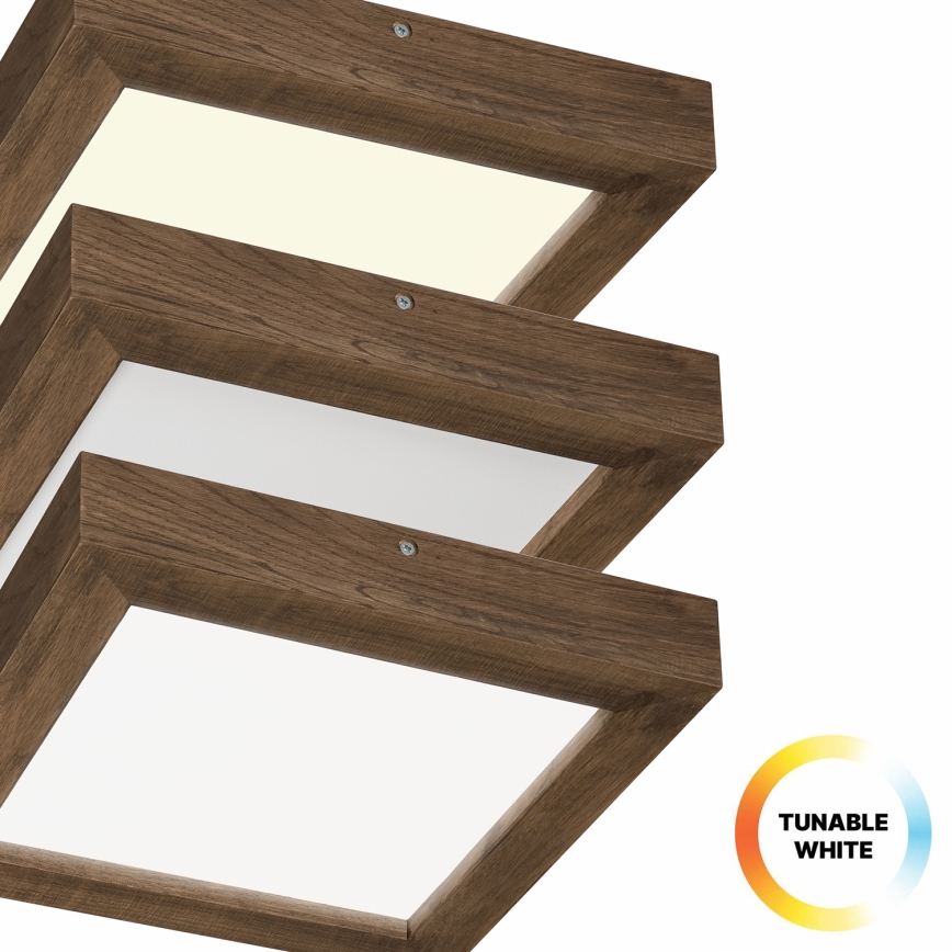 Brilagi - LED loftlampe til badeværelse dæmpbar WOODY FRAME LED/24W/230V eg 30x30 cm 3000-6000K IP44 + fjernbetjening