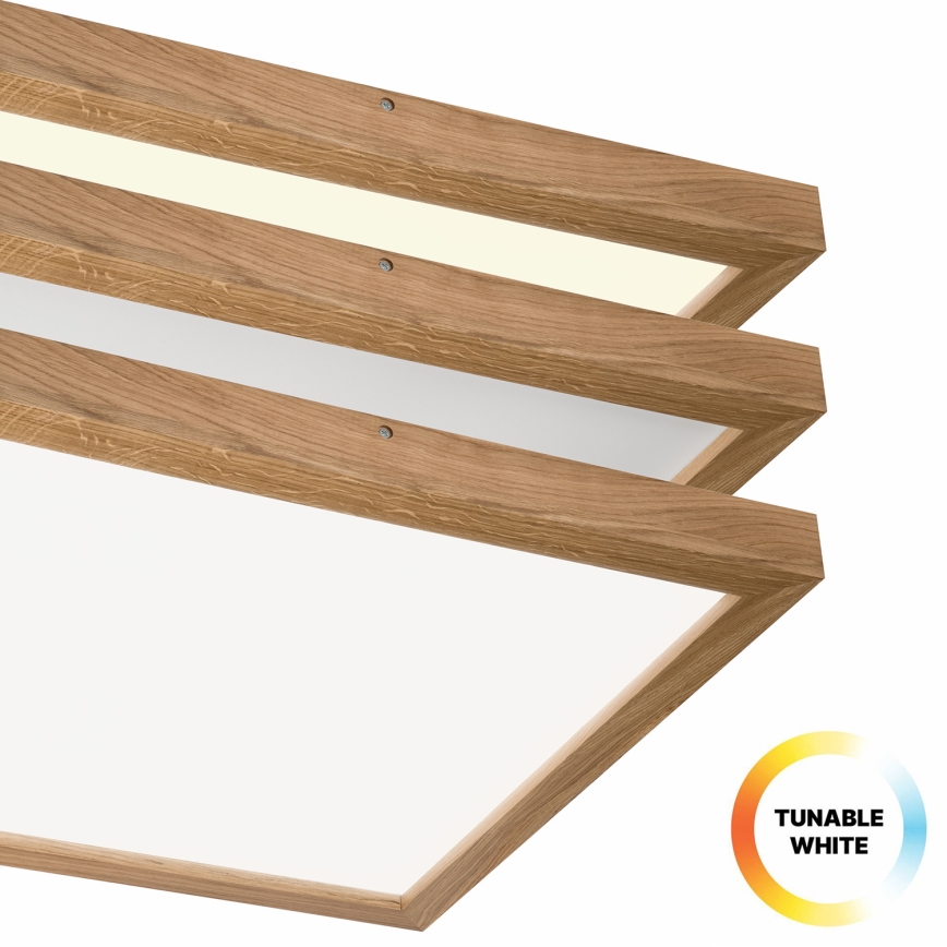 Brilagi - LED loftlampe til badeværelse dæmpbar WOODY FRAME LED/50W/230V eg 60x60 cm 3000-6000K IP44 + fjernbetjening