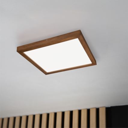 Brilagi - LED loftlampe til badeværelse dæmpbar WOODY FRAME LED/50W/230V eg kirsebær 60x60 cm 3000-6000K IP44 + fjernbetjening