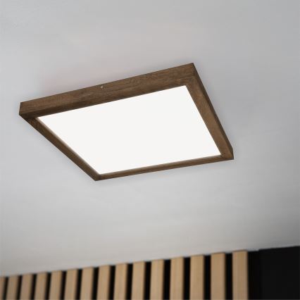 Brilagi - LED loftlampe til badeværelse dæmpbar WOODY FRAME LED/50W/230V eg 60x60 cm 3000-6000K IP44 + fjernbetjening