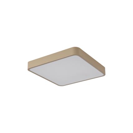 Brilagi - LED-loftarmatur POOL SQUARE LED/36W/230V 3000/4000/6000K 40x40 cm beige