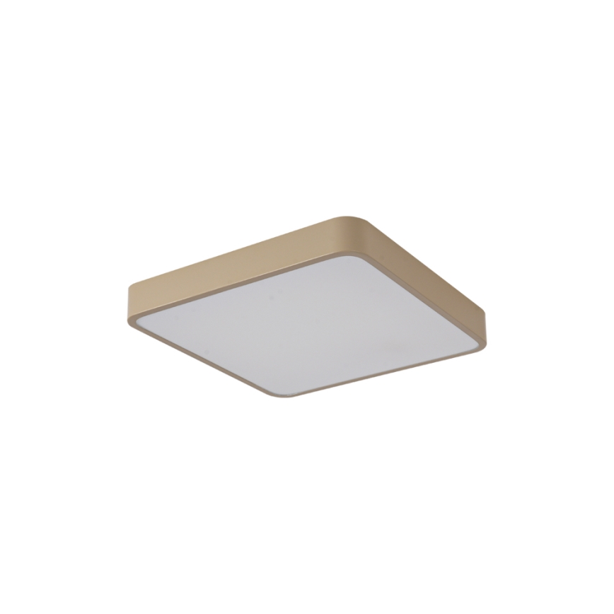 Brilagi - LED-loftarmatur POOL SQUARE LED/36W/230V 3000/4000/6000K 40x40 cm beige