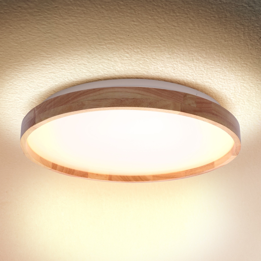 Brilagi - LED loftlampe ALSON LED/24W/230V eg