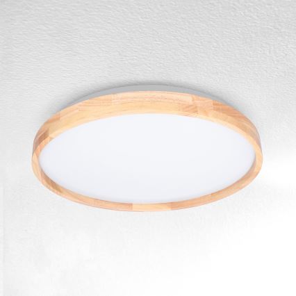 Brilagi - LED loftlampe ALSON LED/24W/230V eg