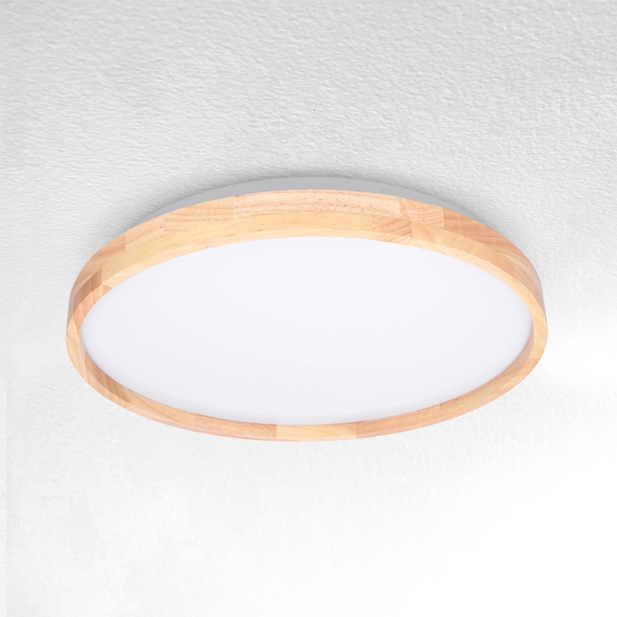 Brilagi - LED loftlampe ALSON LED/24W/230V eg