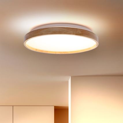Brilagi - LED loftlampe ALSON LED/24W/230V eg
