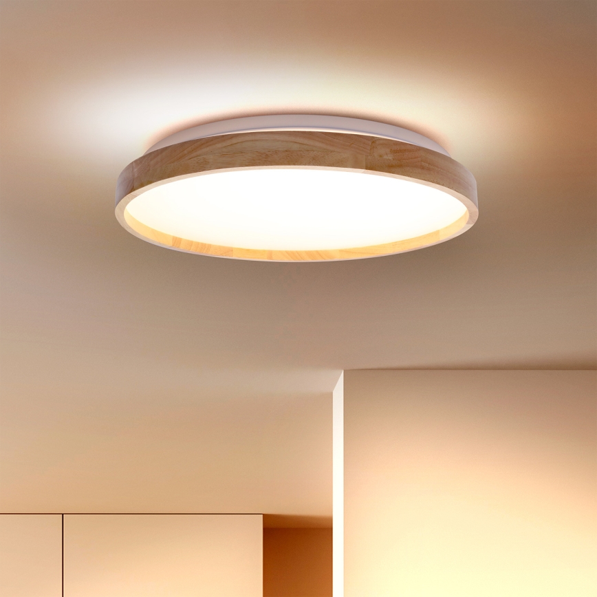 Brilagi - LED loftlampe ALSON LED/24W/230V eg