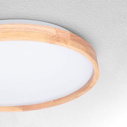 Brilagi - LED loftlampe ALSON LED/24W/230V eg