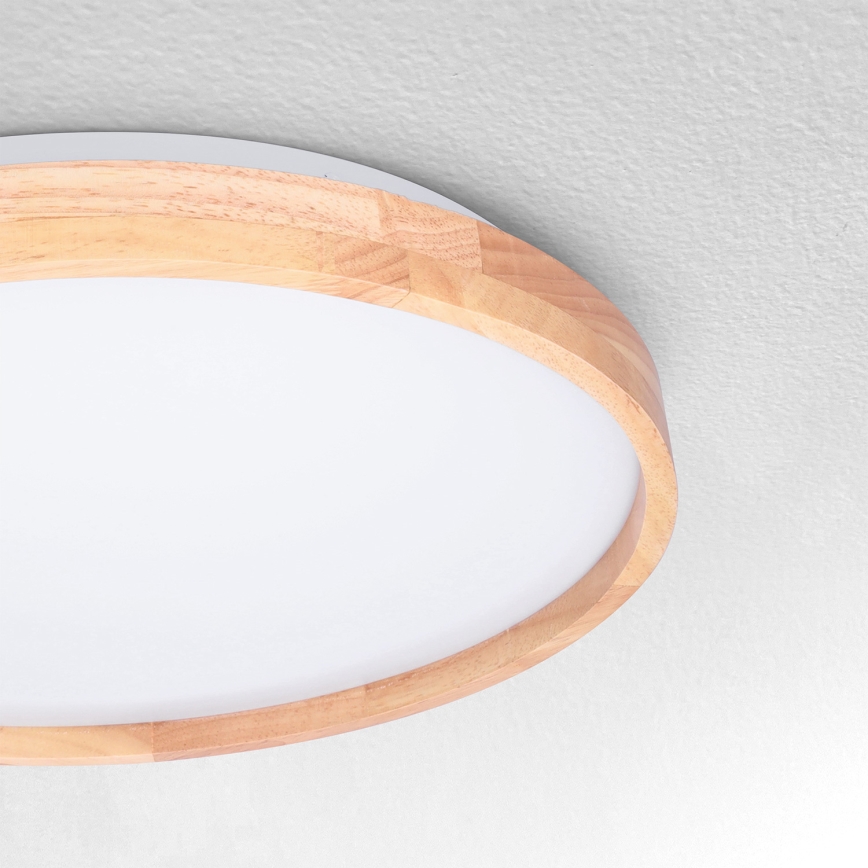 Brilagi - LED loftlampe ALSON LED/24W/230V eg
