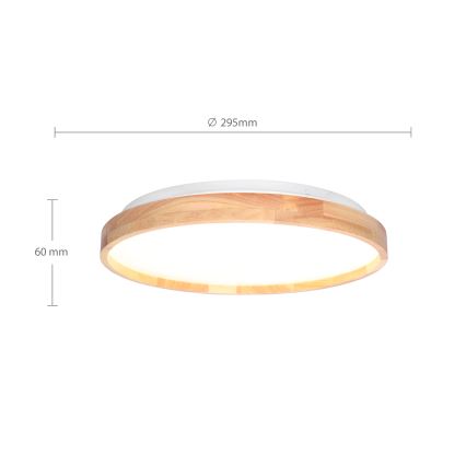 Brilagi - LED loftlampe ALSON LED/24W/230V eg