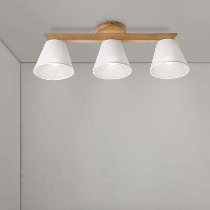 Brilagi - LED  Loftlampe ANTHONY 3xE14/40W/230V eg/hvid