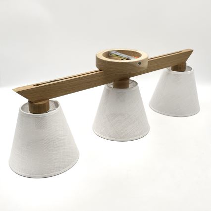 Brilagi - LED  Loftlampe ANTHONY 3xE14/40W/230V eg/hvid
