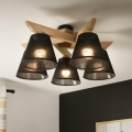 Brilagi - LED  Loftlampe ANTHONY 5xE14/40W/230V eg/sort
