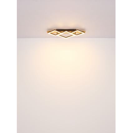 Brilagi - LED loftlampe AXIS I LED/24W/230V