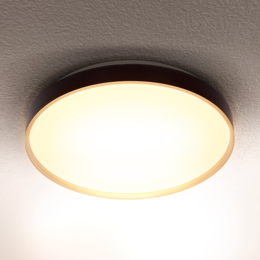 Brilagi - LED loftlampe CALA LED/24W/230V