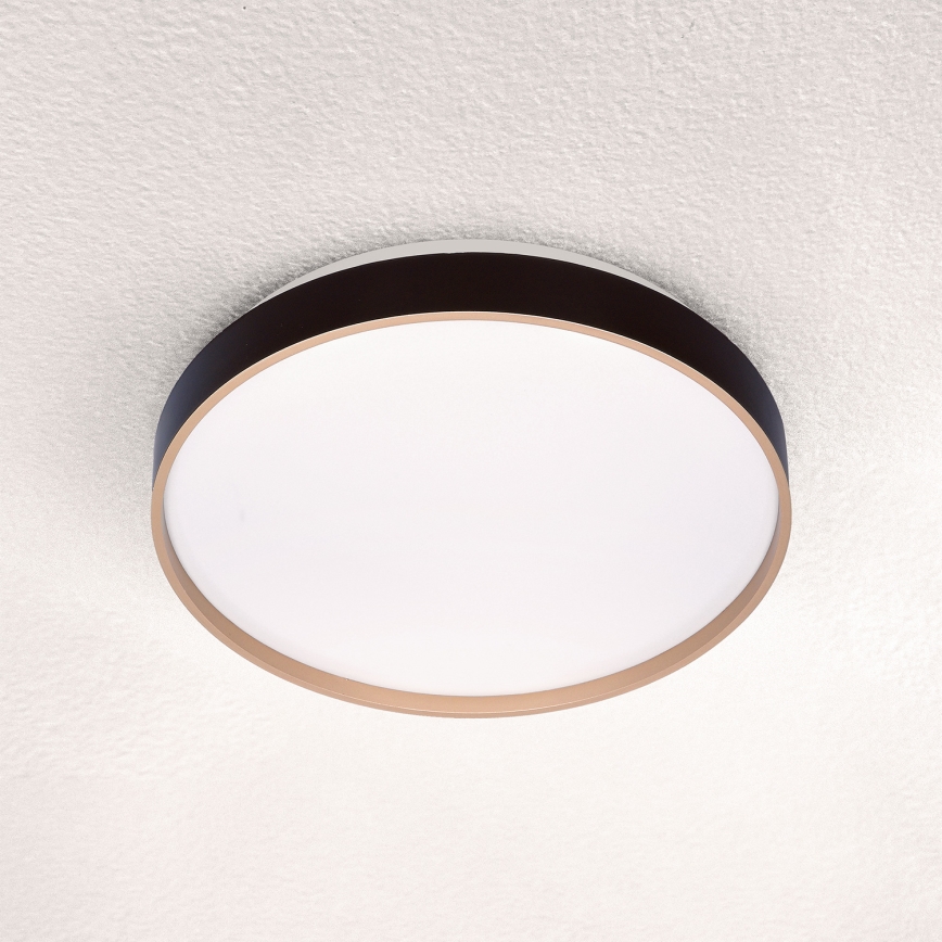 Brilagi - LED loftlampe CALA LED/24W/230V
