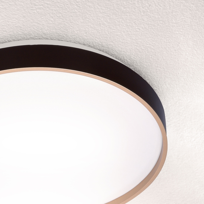 Brilagi - LED loftlampe CALA LED/24W/230V