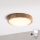 Brilagi - LED-loftlampe CARVALHO MODERN SLIM 1xE27/60W/230V Ø 27,5 cm eg