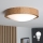 Brilagi - LED loftlampe CARVALHO SLIM 1xE27/15W/230V eg Ø 27 cm