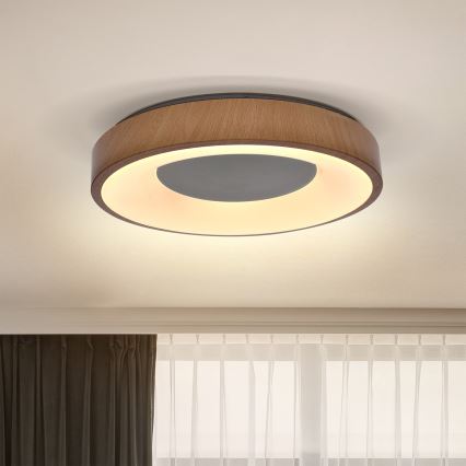 Brilagi - LED loftlampe DORIA LED/24W/230V