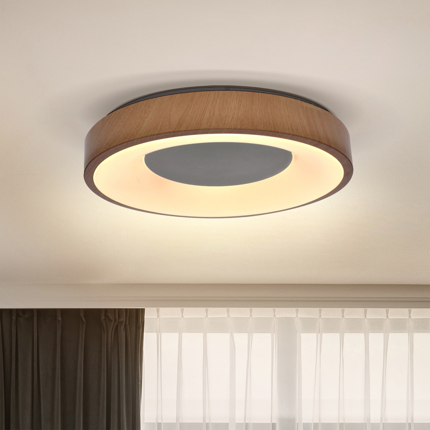 Brilagi - LED loftlampe DORIA LED/24W/230V