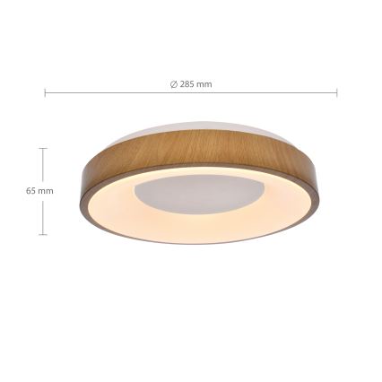 Brilagi - LED loftlampe DORIA LED/24W/230V