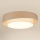 Brilagi - LED loftlampe DOVER SHINE LED/26W/230V diameter 60 cm grå/cremefarvet