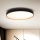 Brilagi - LED loftlampe dæmpbar CALA LED/48W/230V 3000-6500K diameter 38 cm + fjernbetjening