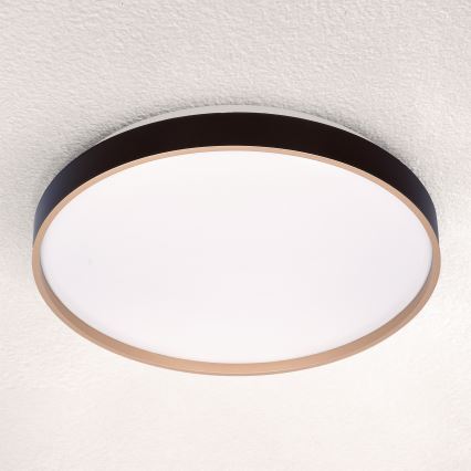 Brilagi - LED loftlampe dæmpbar CALA LED/48W/230V 3000-6500K diameter 38 cm + fjernbetjening