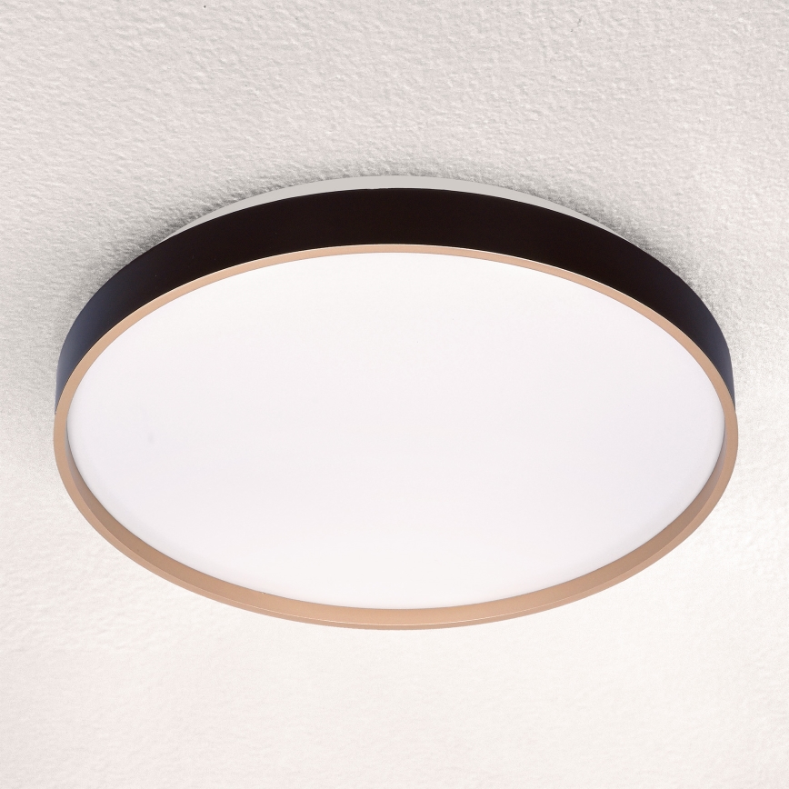 Brilagi - LED loftlampe dæmpbar CALA LED/48W/230V 3000-6500K diameter 38 cm + fjernbetjening