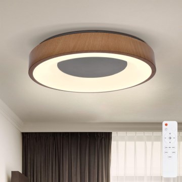 Brilagi - LED loftlampe dæmpbar DORIA LED/48W/230V 3000-6500K diameter 39 cm + fjernbetjening