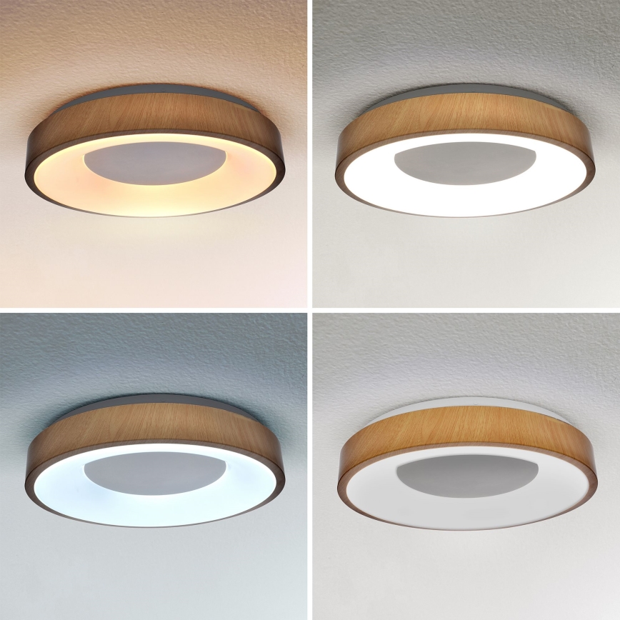 Brilagi - LED loftlampe dæmpbar DORIA LED/48W/230V 3000-6500K diameter 39 cm + fjernbetjening
