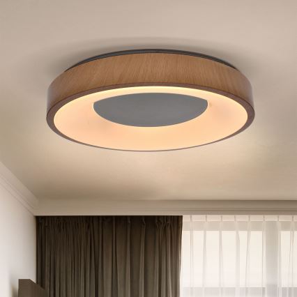 Brilagi - LED loftlampe dæmpbar DORIA LED/48W/230V 3000-6500K diameter 39 cm + fjernbetjening