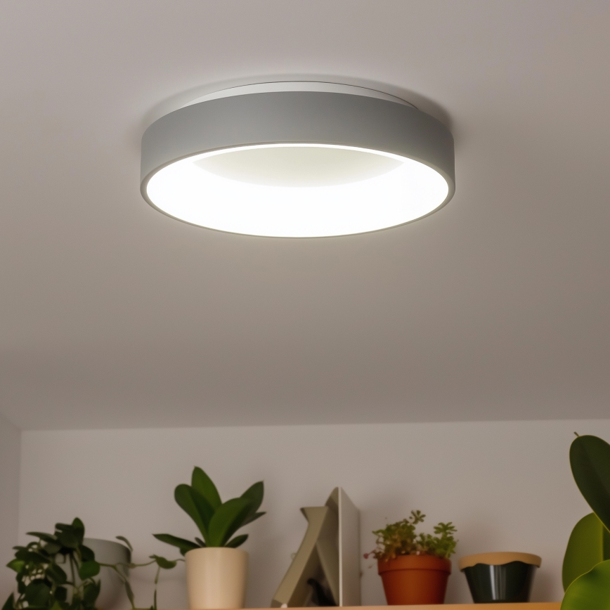 Brilagi - LED loftlampe dæmpbar FALCON LED/80W/230V 3000-6500K diam. 60 cm grå + fjernbetjening