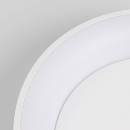 Brilagi - LED loftlampe dæmpbar FALCON LED/80W/230V 3000-6500K diam. 60 cm hvid + fjernbetjening
