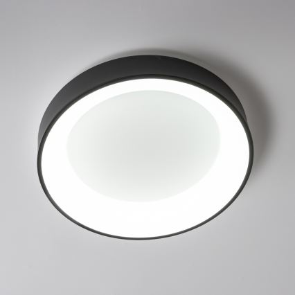 Brilagi - LED loftlampe dæmpbar FALCON LED/80W/230V 3000-6500K diam. 60 cm sort + fjernbetjening