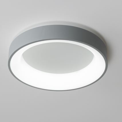 Brilagi - LED loftlampe dæmpbar FALCON LED/80W/230V 3000-6500K diam. 60 cm grå + fjernbetjening