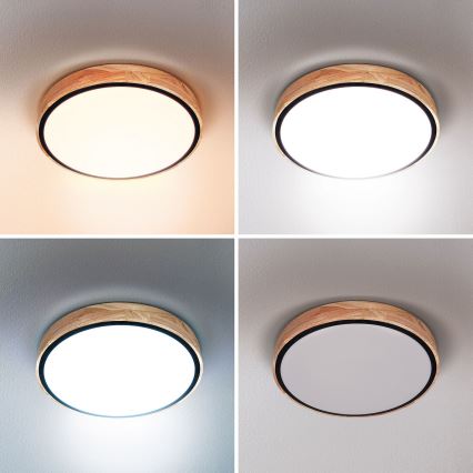 Brilagi - LED loftlampe dæmpbar GLORIA LED/48W/230V 3000-6500K eg diameter 40 cm + fjernbetjening