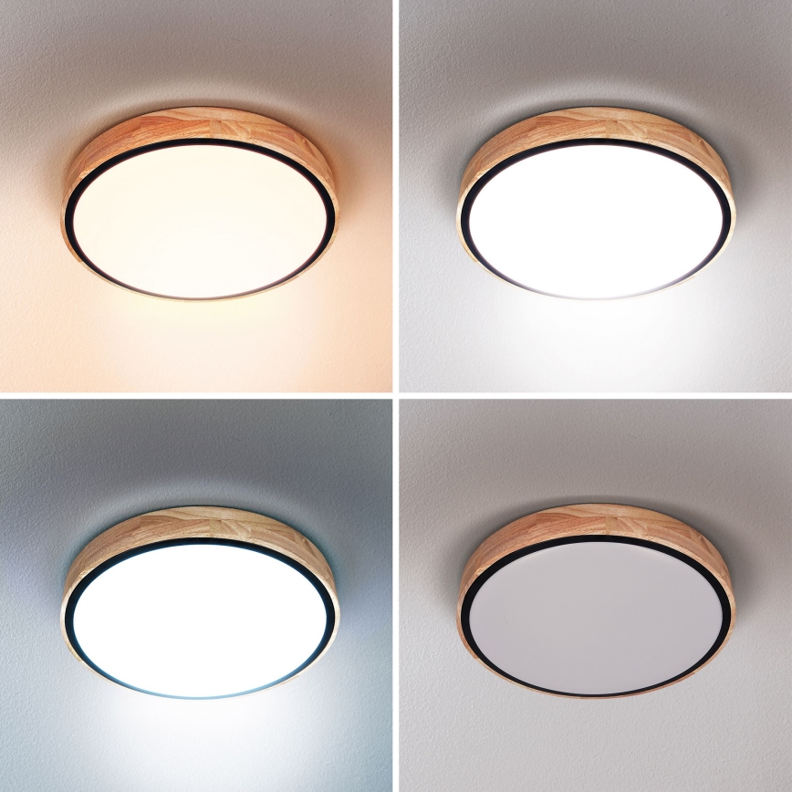 Brilagi - LED loftlampe dæmpbar GLORIA LED/48W/230V 3000-6500K eg diameter 40 cm + fjernbetjening