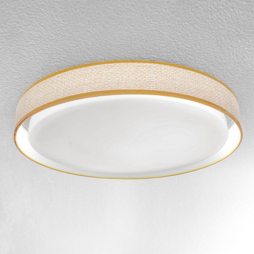 Brilagi - LED loftlampe dæmpbar KIANIA LED/48W/230V 3000-6500K diameter 43 cm + fjernbetjening