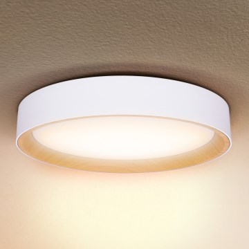 Brilagi - LED loftlampe dæmpbar LARIOS LED/48W/230V 3000-6500K ø 39 cm hvid + fjernbetjening