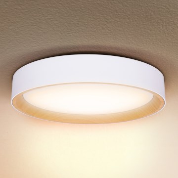 Brilagi - LED loftlampe dæmpbar LARIOS LED/60W/230V 3000-6500K ø 49 cm hvid + fjernbetjening