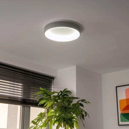 Brilagi - LED loftlampe dæmpbar FALCON LED/40W/230V 3000-6500K grå + fjernbetjening