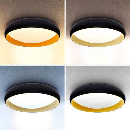 Brilagi - LED loftlampe dæmpbar LIVIA LED/48W/230V 3000-6500K diameter 42 cm + fjernbetjening
