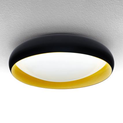 Brilagi - LED loftlampe dæmpbar LIVIA LED/48W/230V 3000-6500K diameter 42 cm + fjernbetjening