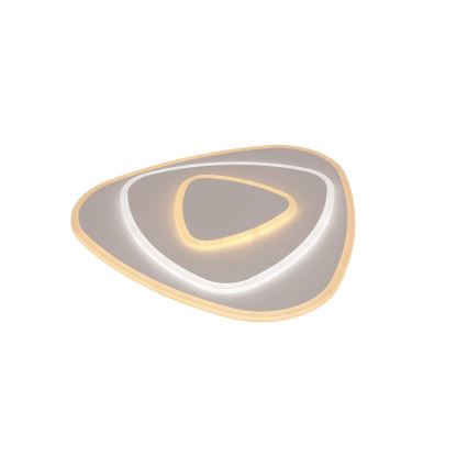 Brilagi - LED loftlampe dæmpbar MODERN LED/58W/230V 2700-6500K 47x48,5 cm+ fjernbetjening